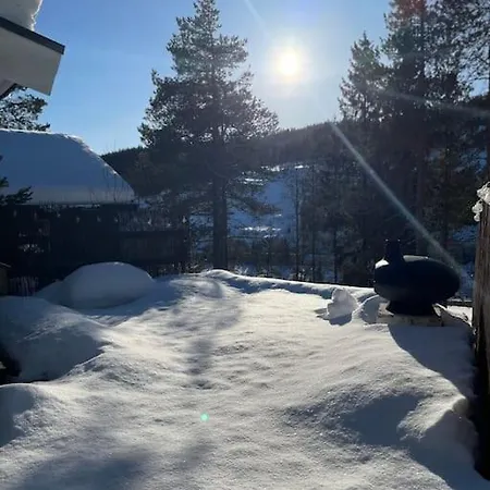 ホテル Hadeland 3*